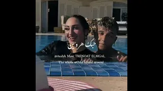 حالات واتس عصام صاصا ماي Wlfe وام عيالي جديد لسه منزلش 2022 