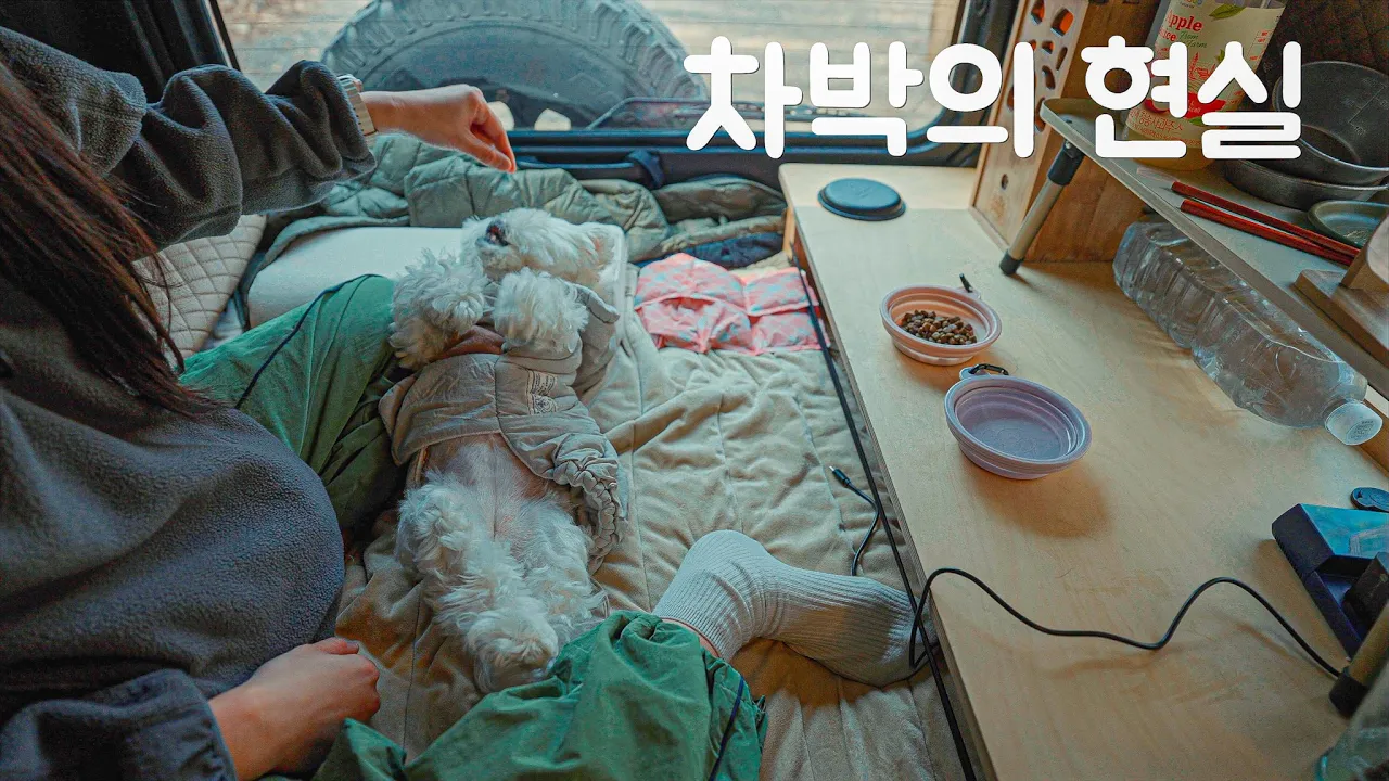 n년차 솔로캠퍼의 접대캠핑이 일상이 되어버린 차박 현실 | 계곡 앞 꿀같았던 캠핑 | 포천 가보세캠핑장 썸네일
