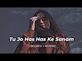 Download Lagu Tu Jo Has Has Ke Sanam | slowed x reverb | Raja Bhaiya 2003 | Udit Narayan, Govinda @beatgirl4u