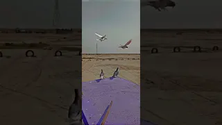 حمام لوت مشاهده ممتعه 