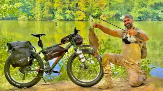 مغامرة صيد واستكشاف غابات وبحيرات مقارنة بين الفيدر العراقي والصيد بالطريقة الأوروبية الاحترافية 