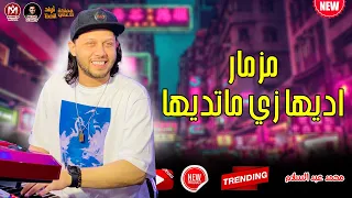 مزمار الي كله بيدور عليه ع التيكتوك   اديها زي ماتديها   محمد عبد السلام      دندنها