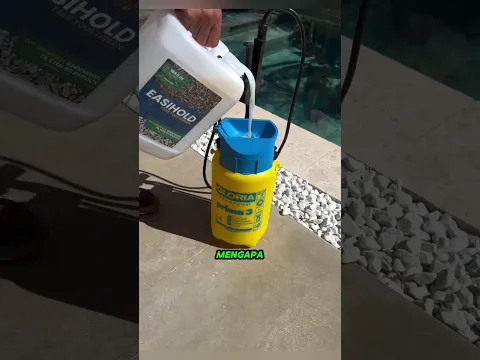 Dia memasang perangkap lengket untuk orang-orang yang melempar batu ke dalam kolam renangnya! π±ππΆ