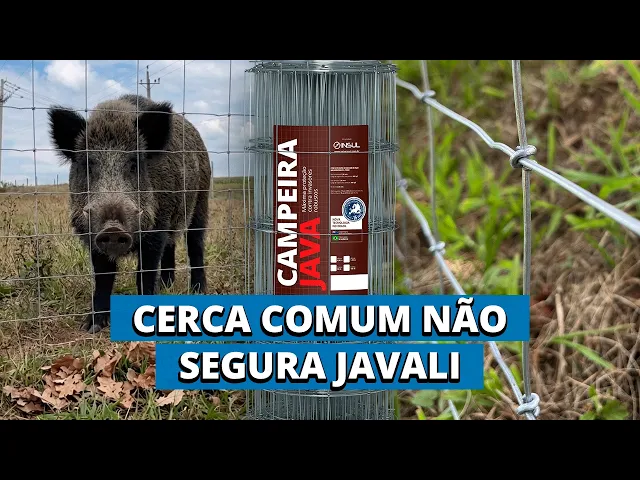 Vídeo do produto - Campeira Java - Adeus ao prejuízo na safra