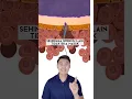 Download Lagu Proses terjadinya kehamilan! #tipskesehatan #promil #pembuahan #edukasiseks #viral