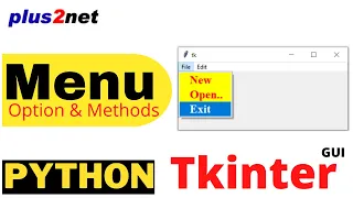 Tkinter menu with options methods to add checkbox radio buttons items with tearoff and separators