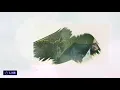 جديد محمود التركي -عفتك -وراسي -برد 💔فيديو كلب حصريا 2019❤