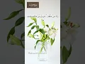 Download Lagu Surah Fussilat Ayat 42 #shorts #quran #mukhtar Al haaj