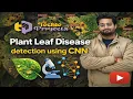 Plant Leaf Disease detection using CNN Detailed Explaination-1 Python Image Processing