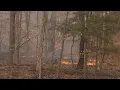 Wildfire Burns Near Warren Pennsylvania