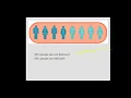 Dietary Reference Intakes DRI