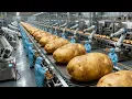 Inside a High-Tech Potato Chip Factory: From Fresh Potatoes to Crispy Snacks (Complete Process)
