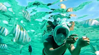 A Taste of Paradise – Ep 77 Sailing Luckyfish
