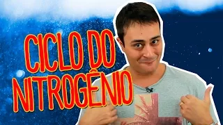 CICLOS BIOGEOQUÍMICOS - NITROGÊNIO E FÓSFORO