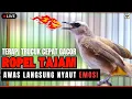 Download Lagu 🛑SUARA TRUCUKAN GACOR TARUNG ROPEL PANJANG🔥 PANCINGAN AMPUH TRUCUK BAHAN CEPAT GACOR EMOS🛑LIVE 🎥