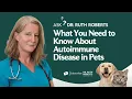 What You Need to Know About Autoimmune Disease in Pets Ask Dr Ruth