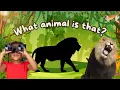 Toddler Learning learn Wild Animals for toddlers Learn Animal Names and sounds