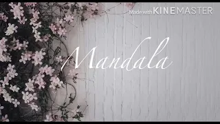 Learn mandala image fillers with me - part 1