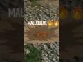 Download Lagu 💥💥Malubulul💥🔥🔥