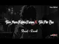 Download Lagu Tera Mera Rishta x Toh Phir Aao [Slowed+Reverb] Mustafa Zahid | Sad Mashup | Songs Addicted