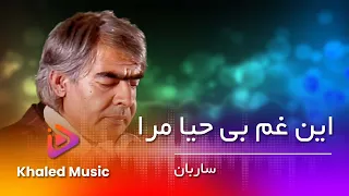                                        استاد ساربان   این غم بی حیا مرا دندنها