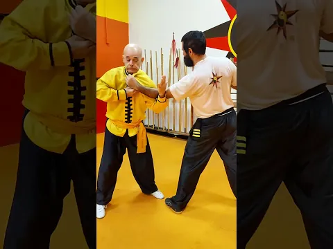 TSKF Kung Fu Equilíbrio em todos os sentidos, defesa pessoal inteligente