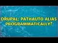 Drupal Pathauto alias programmatically