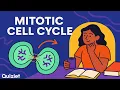 Understanding the Mitotic Cell Cycle Biology
