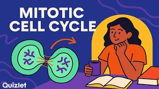 Understanding the Mitotic Cell Cycle Biology