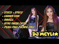Download Lagu MIXTAPE FUKOT ❗STECU - STECU ❗GARAM CINA ❗MANGU ❗DJ MEYLIA