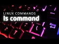 ls command Master the ls Command in Linux in 5 Minutes Linux commands