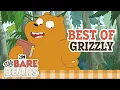 Grizzly s Best Moments We Bare Bears Cartoon Network Cartoons for Kids