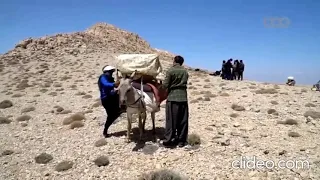 گۆرانییەکی  کۆنی محمود وطنخواه دندنها