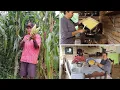 Download Lagu CANJICA NA PANELA DE PEDRA, PRIMEIRA RECEITA DE MILHO VERDE DO ANO