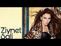 Ziynet Salı - Bana da Söyle