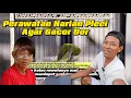 Download Lagu Rawatan harian Pleci Gacor 2024 Dextro 87 Sahdu.