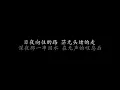 谁说少年不知愁 费玉清 (歌词版)