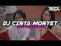 Download Lagu Dj Viral Tiktok || Cinta Monyet (Slowed \u0026 Reverb) By Rizz Remixer