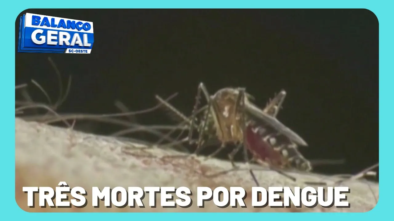 Três mortes são confirmadas na última semana em Santa Catarina causadas pela Dengue