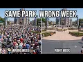 The Disney World Weeks Insiders Never Book The Real 2026-2027 Crowd Calendar