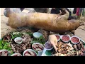 Download Lagu Lòng dồi tiết canh Mừng lúa mới | Nhịp Sống Tây Bắc