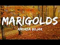 Download Lagu Andrea Bejar - Marigolds (Lyrics)