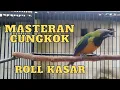 Download Lagu MASTERAN CUNGKOK NGEROLL PANJANG KASAR || AMPUH UNTUK MURAI BATU ANDA