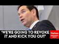 Download Lagu JUST IN: Rubio Puts 'Antisemitic' Foreign Students On Notice After Mahmoud Khalil Detainment By ICE