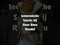 Download Lagu Rasa Baru Gouda Snacks! 🍢 #Shorts #Toko #RasaBaru #Gouda