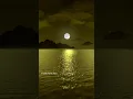 Download Lagu காத்திருந்து🌷 காத்திருந்து | Song by jayachandran| #WhatsApp status song# Shorts feed