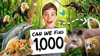 Mystery Animal Challenge 🕷️🐾🐍 Kids Find 1000 Animals in Costa Rica Jungle