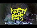 Download Lagu Nasty Pets - Nasty Punk 12\