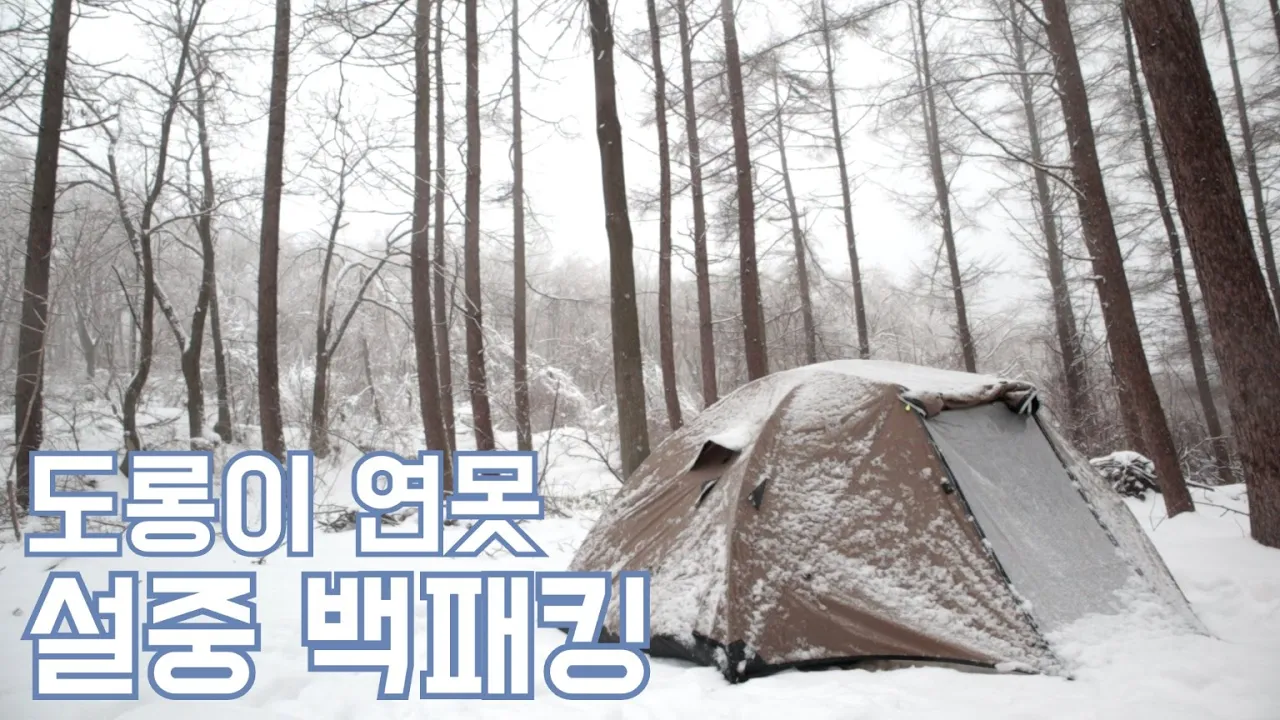 눈길에 차 버리고 올라간 설산 백패킹/도롱이 연못/백패킹 성지다운 고요함에 반했습니다/강원도 투어 둘째날 サムネイル