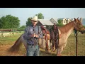 Advancing from the Snaffle Bit to the Correction leverage Bit - Understanding the Mechanics